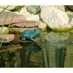 Béka kicsi kb.12cm magas kerti csobogó