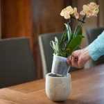 Cserép átlátszó  átm. 12cm