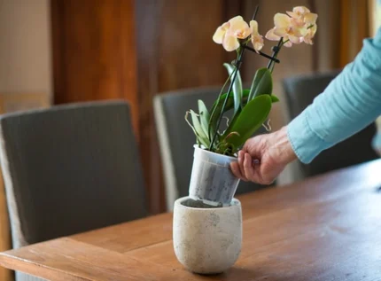 Cserép átlátszó  átm. 12cm