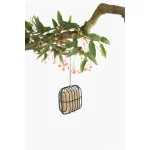 DEX drót madáretető fekete négyzet alakú 7