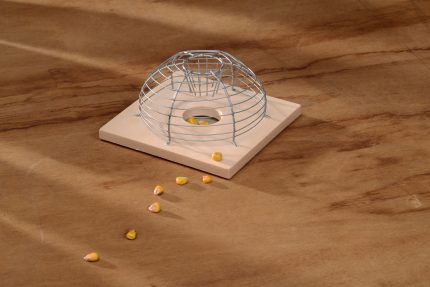 Egércsapda drótkalitka