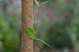 Fémkapcsok kókuszkaróhoz (10 db)