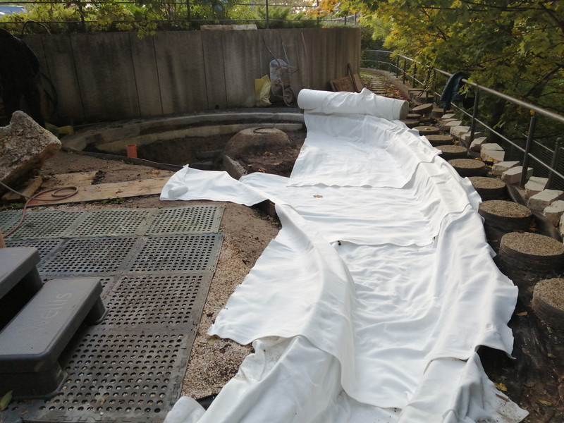 Wellness tó közben