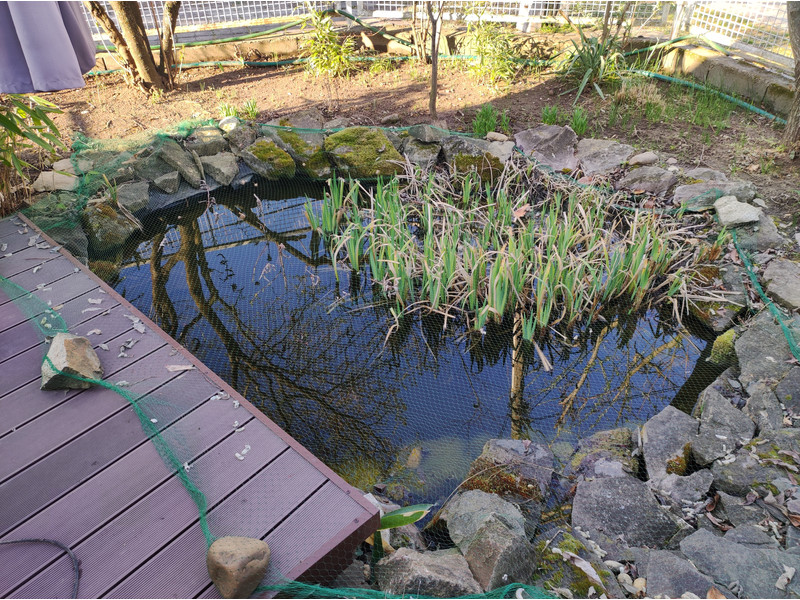 30 éves tó előtte