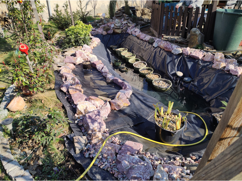 Koi tó átalakítás