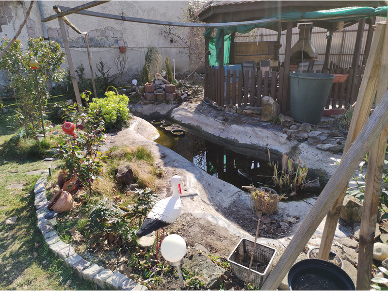 Dzsungel tó előtte