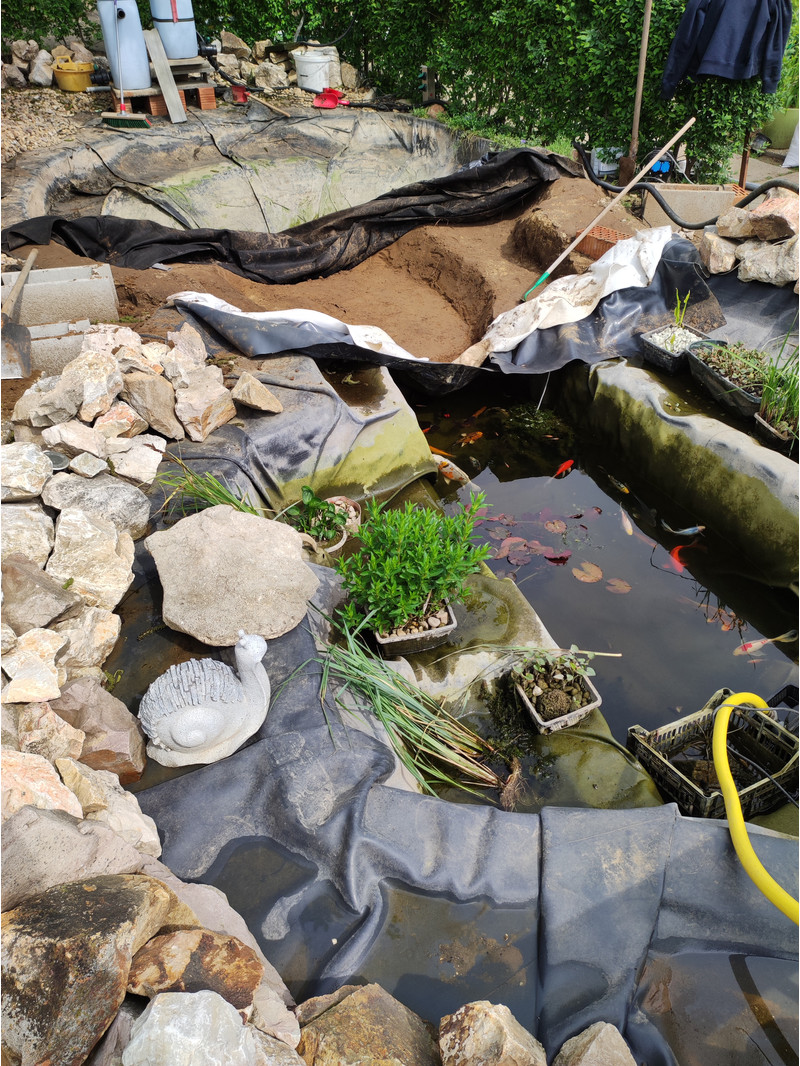 Dzsungel tó építés