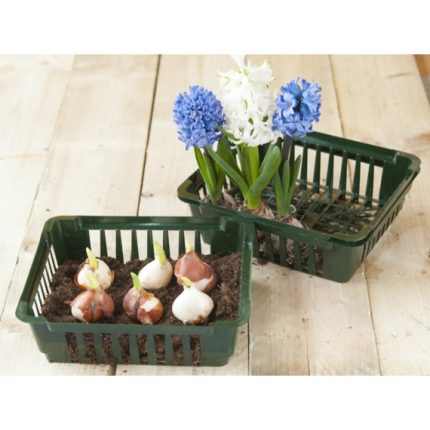 Kosár virághagymákhoz 25x21x7