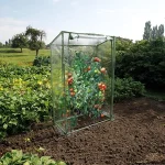 Melegház paradicsomokhoz