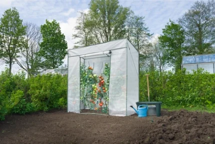 Melegház paradicsomokhoz