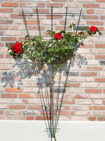 Metal futtató műanyagbevonattal V alakú zöld 145x5/75 cm zöld