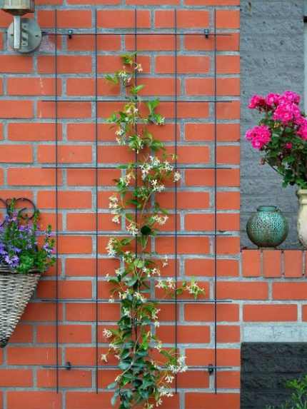 Metál futtató zöld