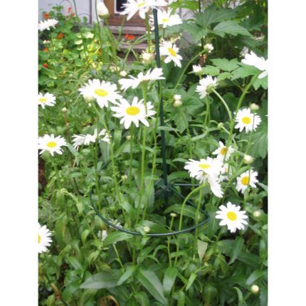 Műanyag növénytámasz