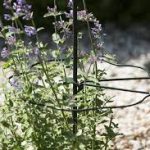 Műanyag növénytámasz