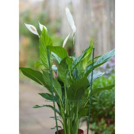 Növénytámasz 45x90cm