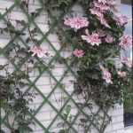 Színezett fa futtatórács zöld 50 x 150 cm