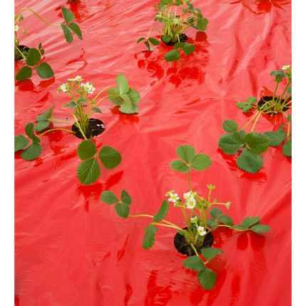 Takarófólia EPERHEZ   piros