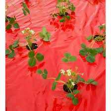 Takarófólia EPERHEZ  piros