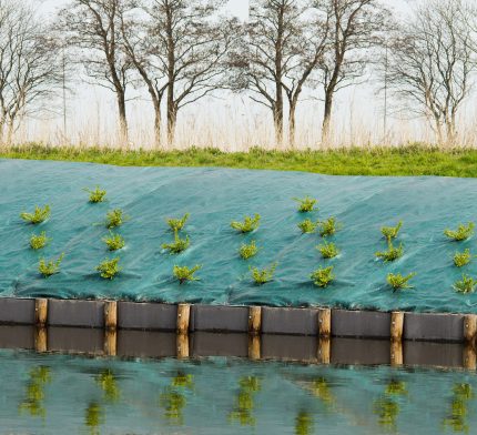 Talajtakaró zöld 330cmx5m 90g per m2