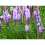 Virágtartó gyűrű 30 cm 3 db