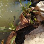 Zsebes ültetőzsák 3 zsebes