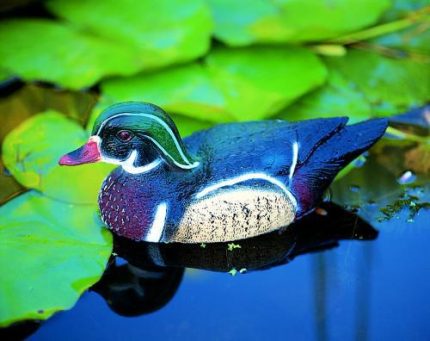 Állatfigura hím Carolina kacsa