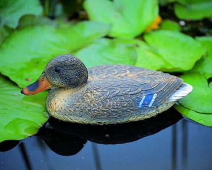 Állatfigura nőstény vadkacsa