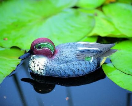 Állatfigura réce hím