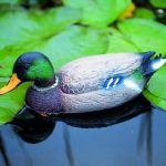 Állatfigura vadkacsa hím