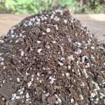 Halkaland földkeverék szobai és irodai növények részére 5l