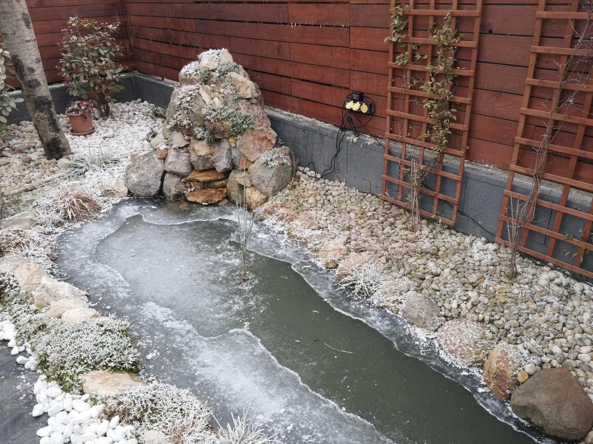 Kristálytiszta kerti tó téli környezetben - FloraNova